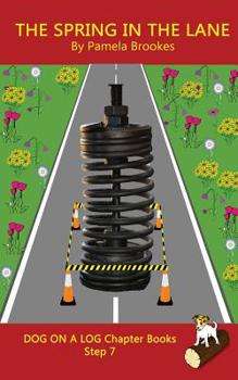 The Spring in the Lane Chapter Book: Systematic Decodable Books for Phonics Readers and Folks with a Dyslexic Learning Style