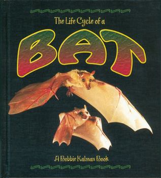Hardcover The Life Cycle of a Bat Book