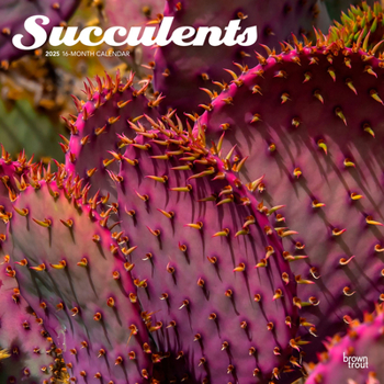 Calendar Succulents 2025 12 X 24 Inch Monthly Square Wall Calendar Plastic-Free Book