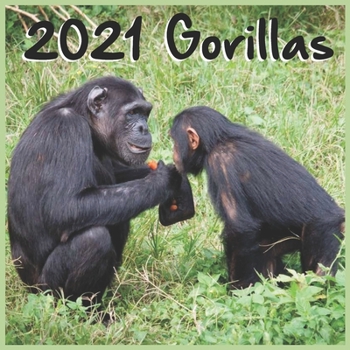 Paperback 2021 Gorillas: Wall & Office Calendar 2021, 16 Month Calendar Book