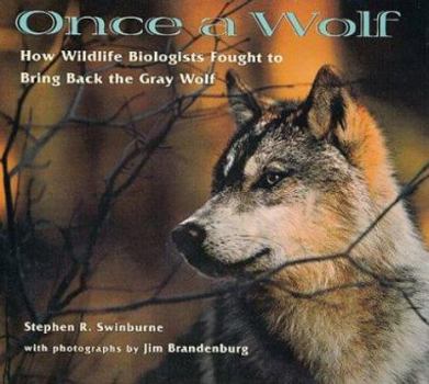 Hardcover Once a Wolf: How Wildlife Biologists Fought to Bring Back the Gray Wolf Book