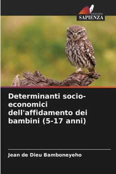 Paperback Determinanti socio-economici dell'affidamento dei bambini (5-17 anni) [Italian] Book