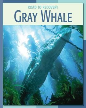 Library Binding Gray Whale Book