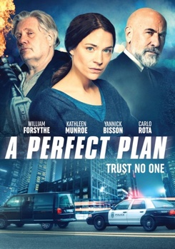 DVD A Perfect Plan Book