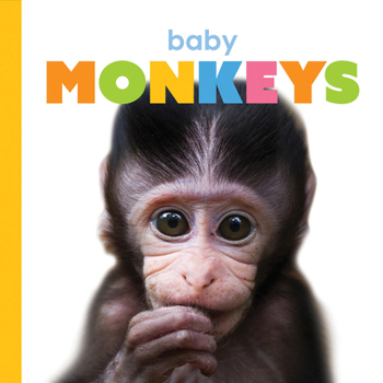 Baby Monkeys - Book  of the Starting Out