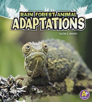 Paperback Rain Forest Animal Adaptations Book