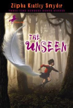 Paperback The Unseen Book