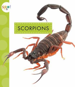 Scorpions - Book  of the Spot Creepy Crawlies