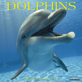Calendar Dolphins 2021 Wall Calendar Book