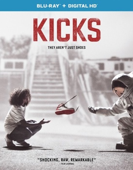 Blu-ray Kicks Book