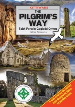 Paperback Pilgrim's Way, The Book