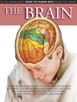 Hardcover The Brain Book