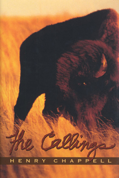 Hardcover The Callings Book