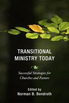 Paperback Transitional Ministry Today: Successful Strategies for Churches and Pastors Book