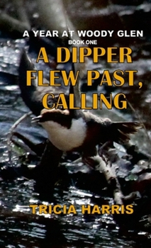 Paperback A Dipper Flew Past, Calling Book