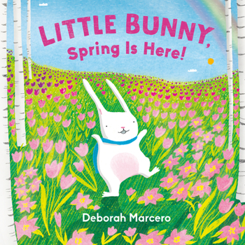 Board book Little Bunny, Spring Is Here! Book