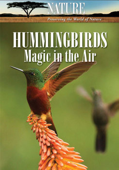 DVD Nature: Hummingbirds, Magic in the Air Book