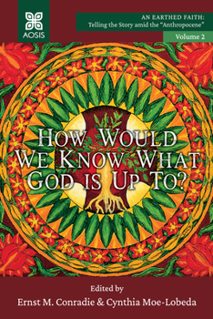 Paperback How Would we Know what God is up to? Book