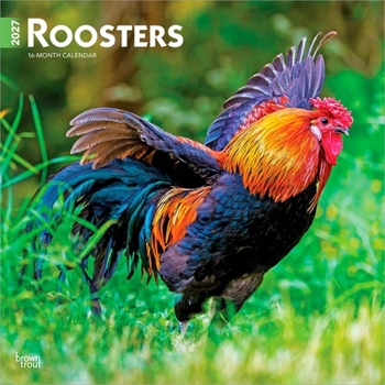 Roosters 2027 12 X 24 Inch (Hanging) Monthly Square Wall Calendar Plastic-Free