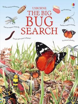 The Big Bug Search - Book  of the Usborne Great Searches