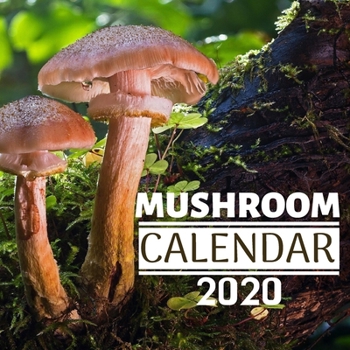 Paperback Mushroom Calendar 2020: 12 Month Mini Wall Or Desk Calendar For Office, Home Or School Book