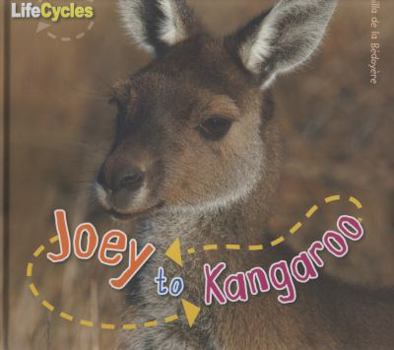 Hardcover Life Cycle Joey to Kangaroo Book