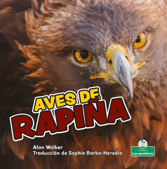 Aves de Rapi�a