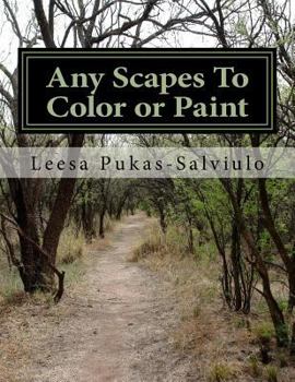 Paperback Any Scapes To Color or Paint Book