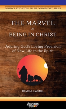 The Marvel of Being in Christ : Adoring God's Provision of New Life in the Spirit
