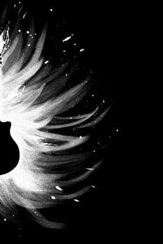 Notebook: Guitar Tab Tablature Notebook (6”x 9” inch size = nearly DIN A5 - 120 Pages) - perfect as music book or song writing book, suitable gift for guitarists, guitar players and musicians!