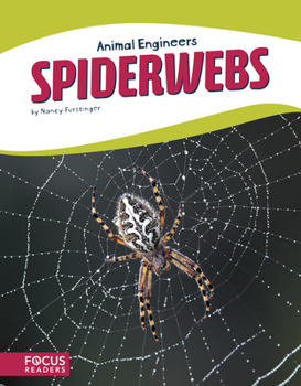 Library Binding Spiderwebs Book