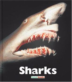 Library Binding Sharks Book