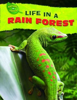 Library Binding Life in a Rain Forest Book