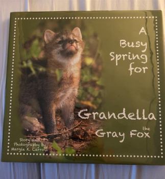 Hardcover A Busy Spring for Grandella the Gray Fox Book