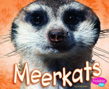 Hardcover Meerkats Book