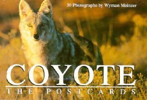 Coyote: The Postcards