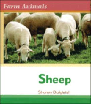 Hardcover Sheep Book