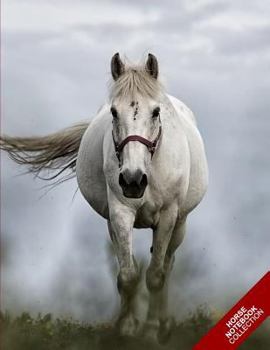Horse Notebook Collection : (Horse Notebook, Journal, Diary) (Notebook Gifts) Collect Them All