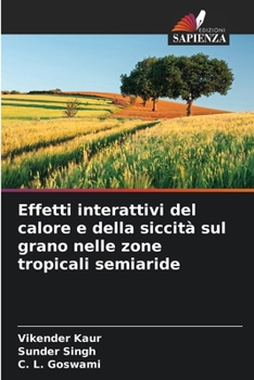 Paperback Effetti interattivi del calore e della siccità sul grano nelle zone tropicali semiaride [Italian] Book