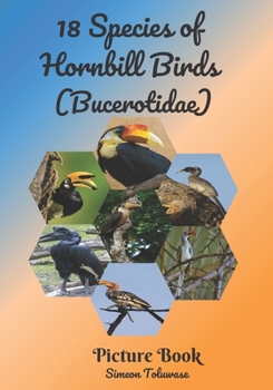 Paperback 18 Species of Hornbill Birds (Bucerotidae) Picture Book