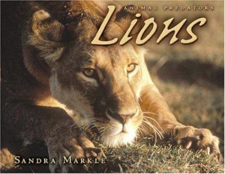 Hardcover Lions Book