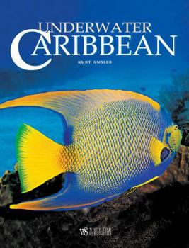 Hardcover Underwater Caribbean Book