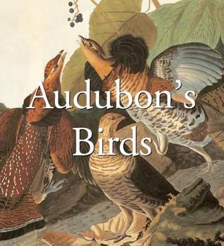 Paperback Audubon's Birds (Mega Squares) Book