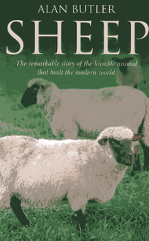 Paperback Sheep Book