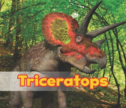 Paperback Triceratops Book