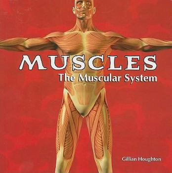 Paperback Muscles: The Muscular System Book