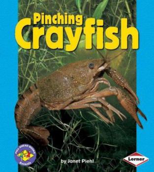 Library Binding Pinching Crayfish Book