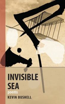 Paperback Invisible Sea Book