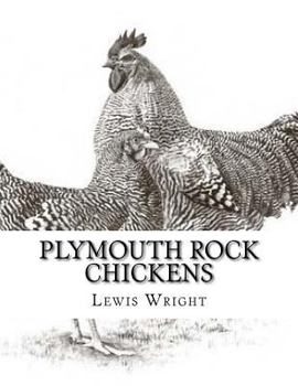 Paperback Plymouth Rock Chickens: From The Book of Poultry Book