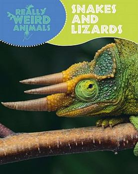 Library Binding Snakes and Lizards Book